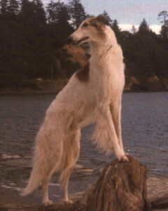 My friend at the beach