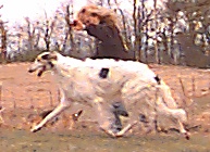 Kenai's In The Heat of The Nite